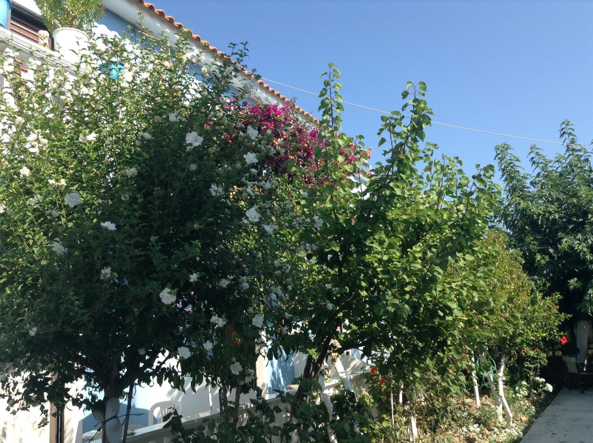 Dina Studios Kalamákion Exterior foto